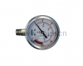 shanghaiPressure gauge